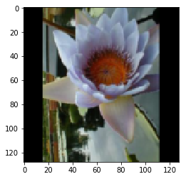 ../../_images/model_finetuning_11_0.png