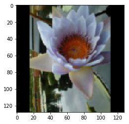 ../../_images/model_finetuning_11_0.png
